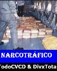 pelicula Narcotráfico