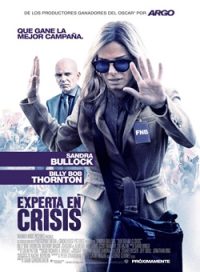 pelicula Expertos En Crisis