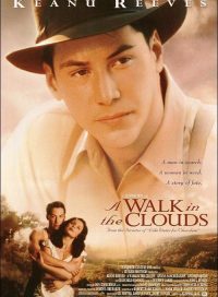 pelicula Un Paseo Por Las Nubes