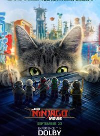 pelicula La LEGO Ninjago