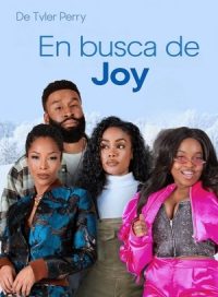pelicula En busca de Joy