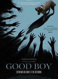 pelicula Good Boy